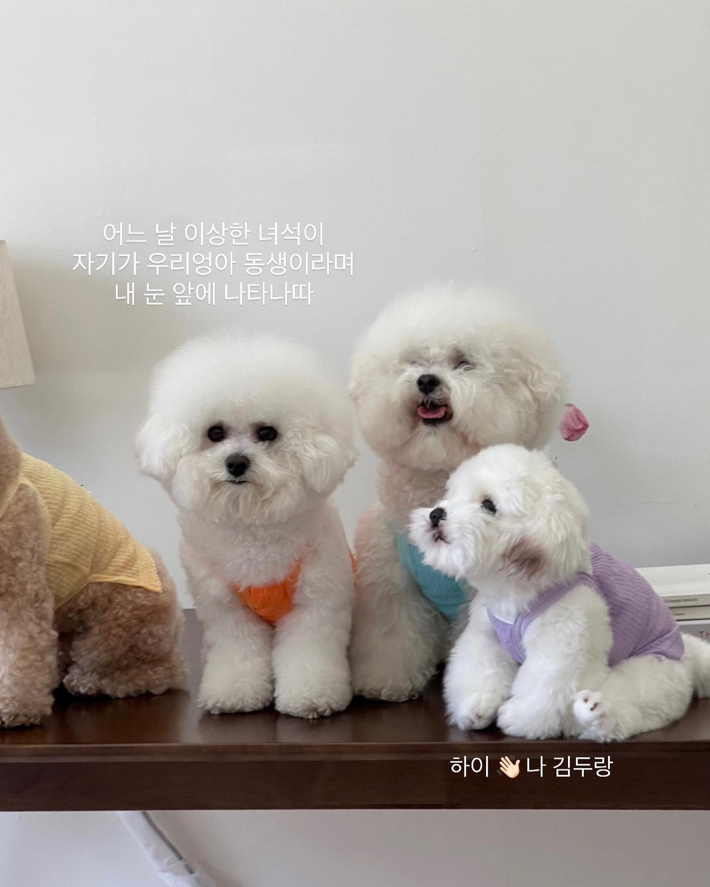 포트폴리오
