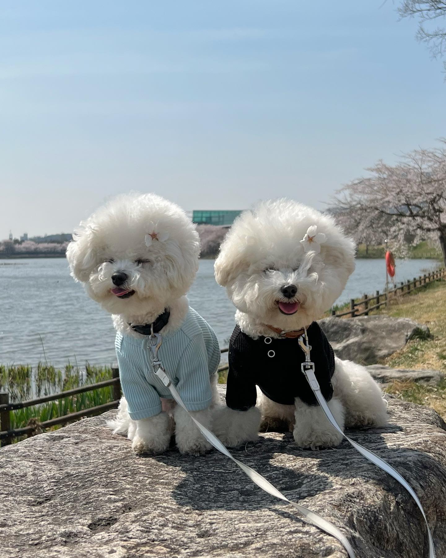 포트폴리오