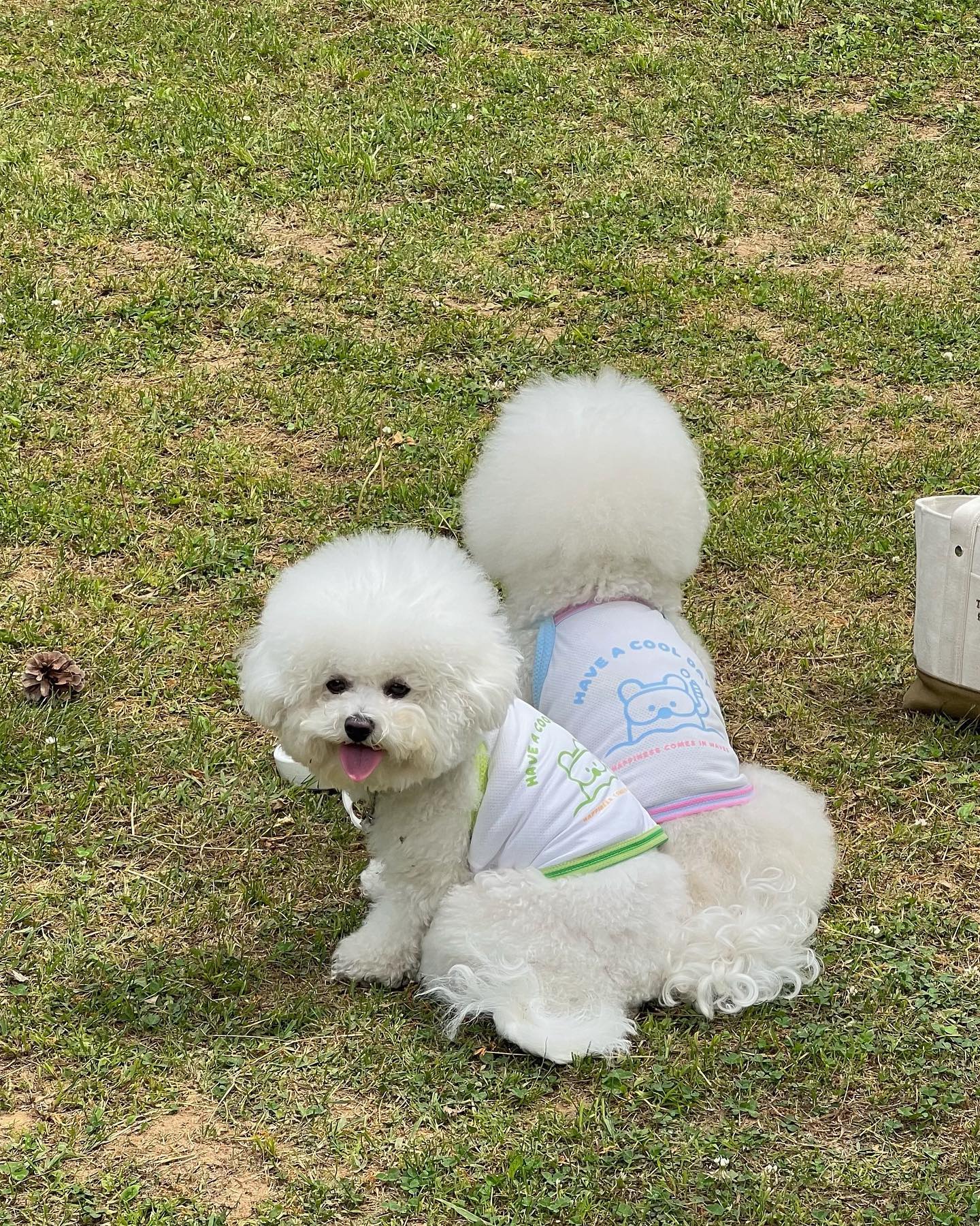 포트폴리오
