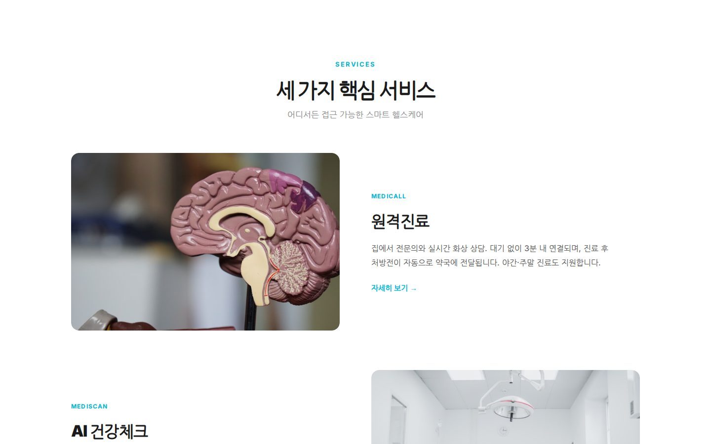 3대 서비스 — 원격진료·AI 건강체크